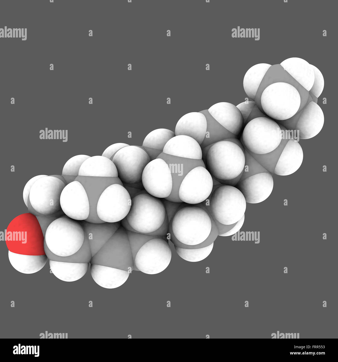 La structure moléculaire du cholestérol sur blanc dans l'espace-fill voir Banque D'Images
