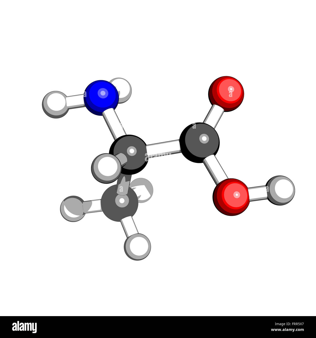 L'acide aminé alanine structure moléculaire sur un fond blanc Banque D'Images