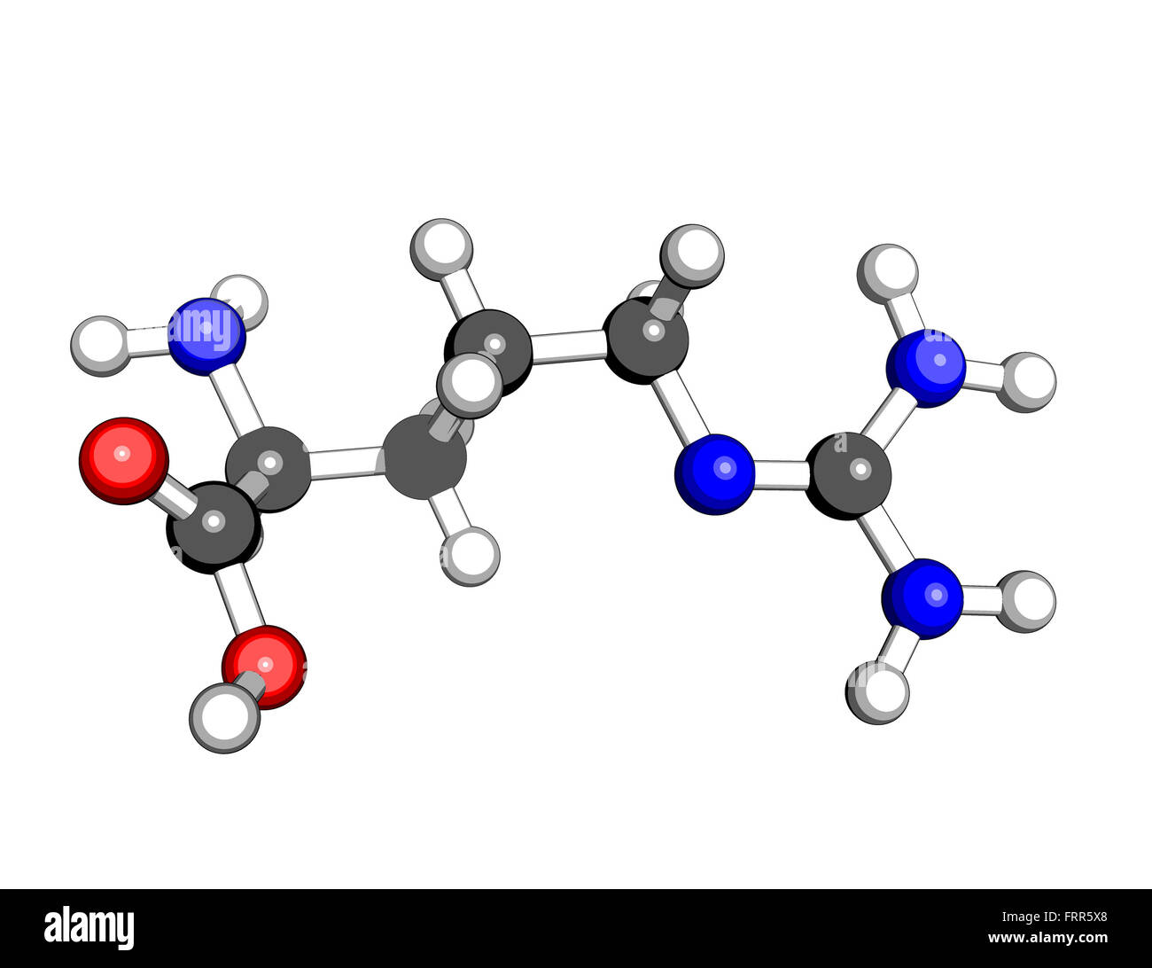 Acide aminé arginine structure moléculaire sur un fond blanc Banque D'Images
