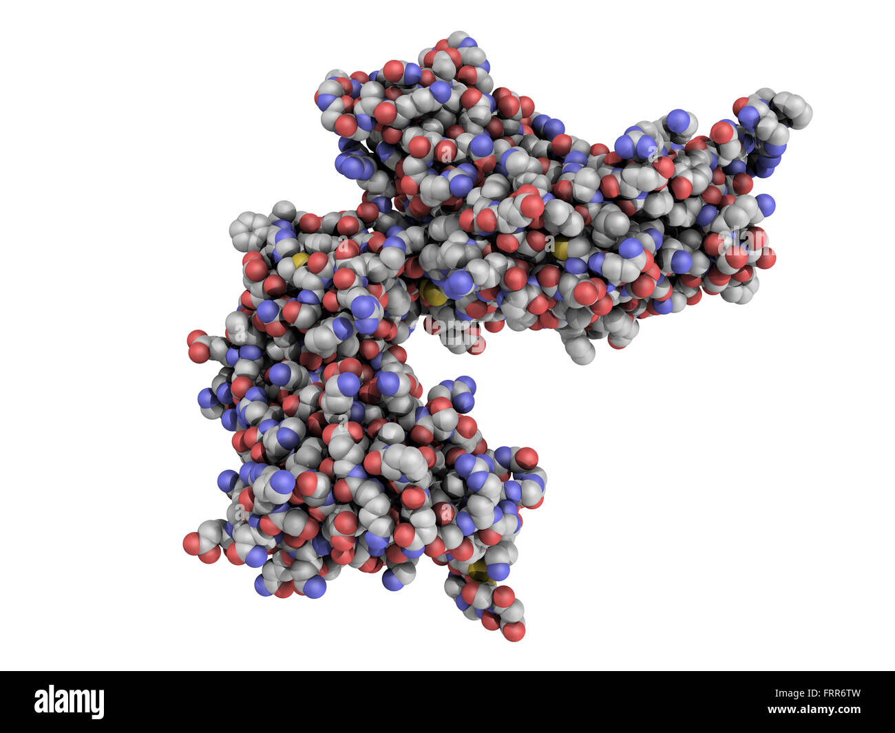 ADP ribose cyclique hydrolase (CD38) des protéines. CD38 est une enzyme présente à la surface des cellules de nombreuses cellules immunitaires et c'est un progn Banque D'Images