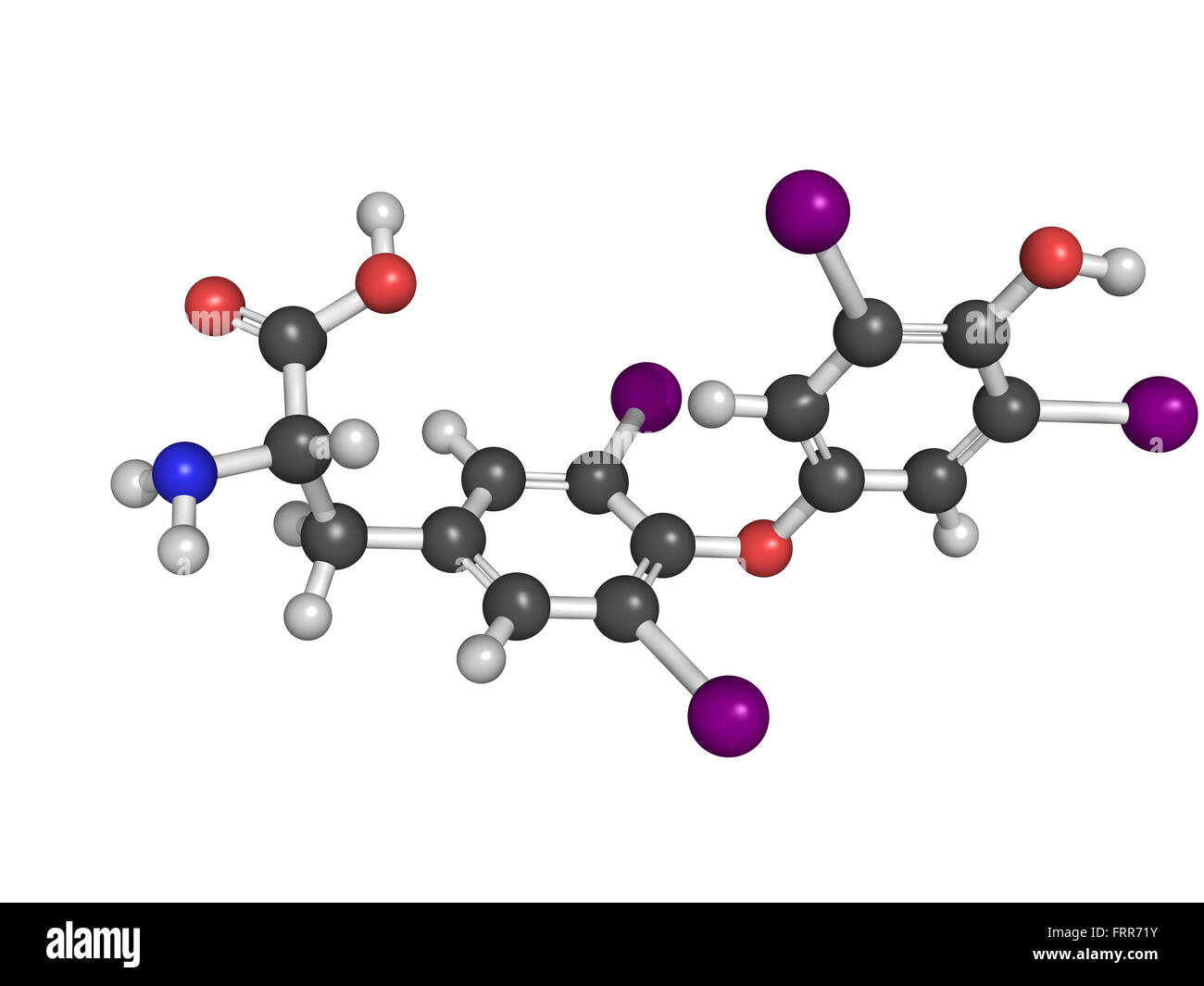 La thyroxine hormone thyroïdienne molécule. Thyroxine est une hormone thyroïdienne qui joue un rôle dans le métabolisme de l'énergie règlement Banque D'Images