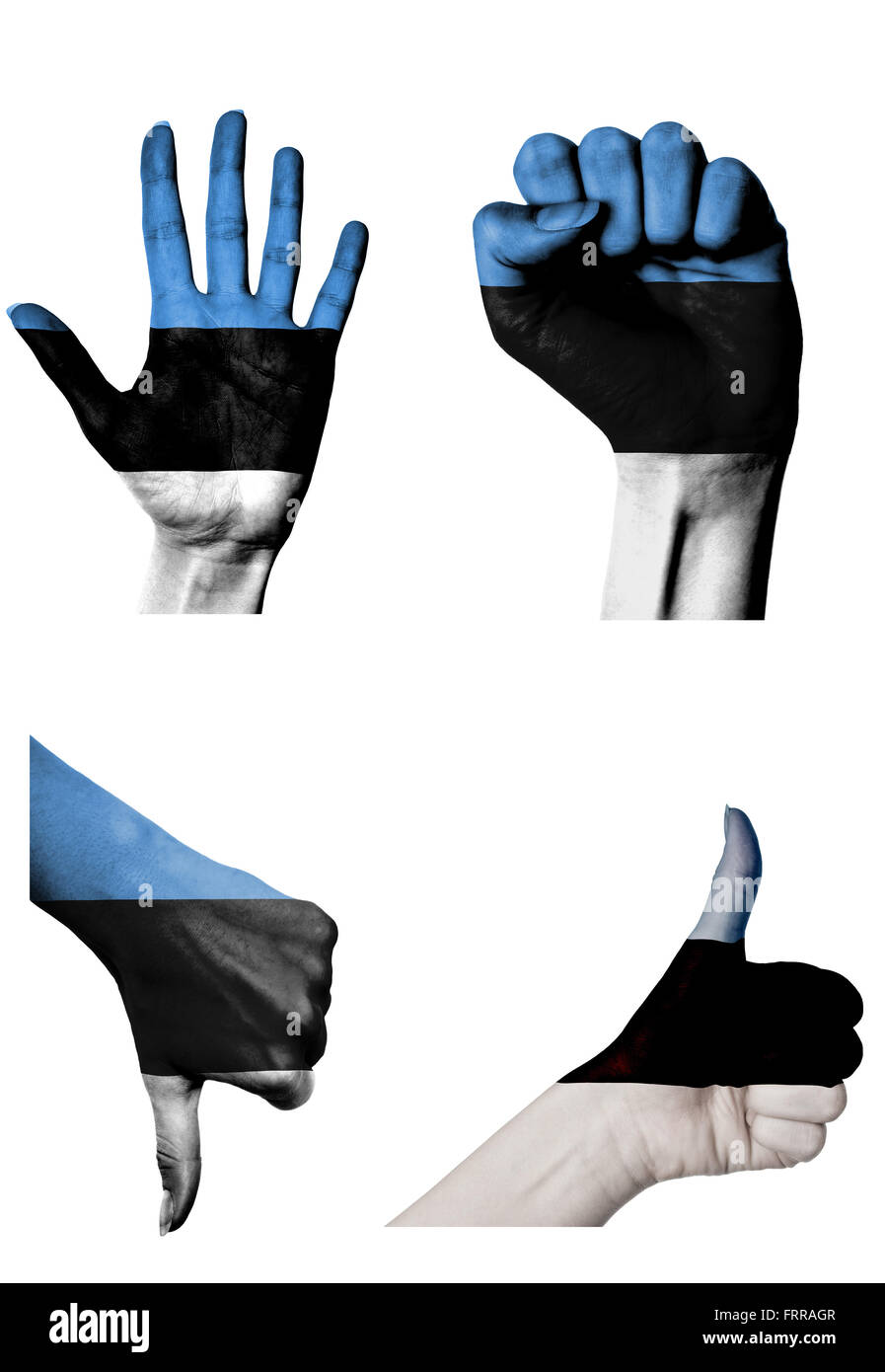 Les mains avec plusieurs gestes (poing fermé, paume ouverte, les pouces vers le haut et vers le bas) avec l'Estonie flag painted isolated on white Banque D'Images