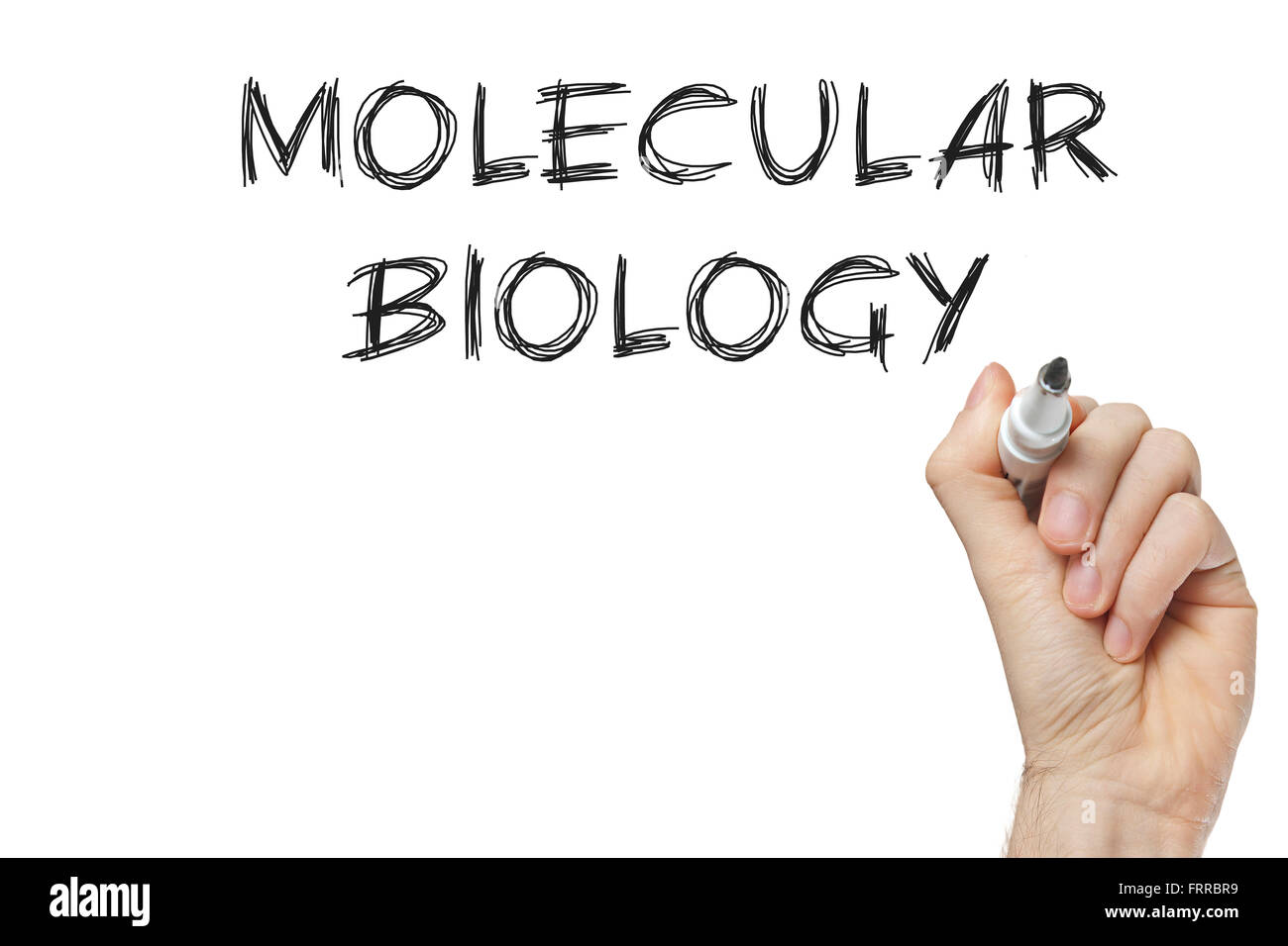 La main de la biologie moléculaire sur un tableau blanc Banque D'Images