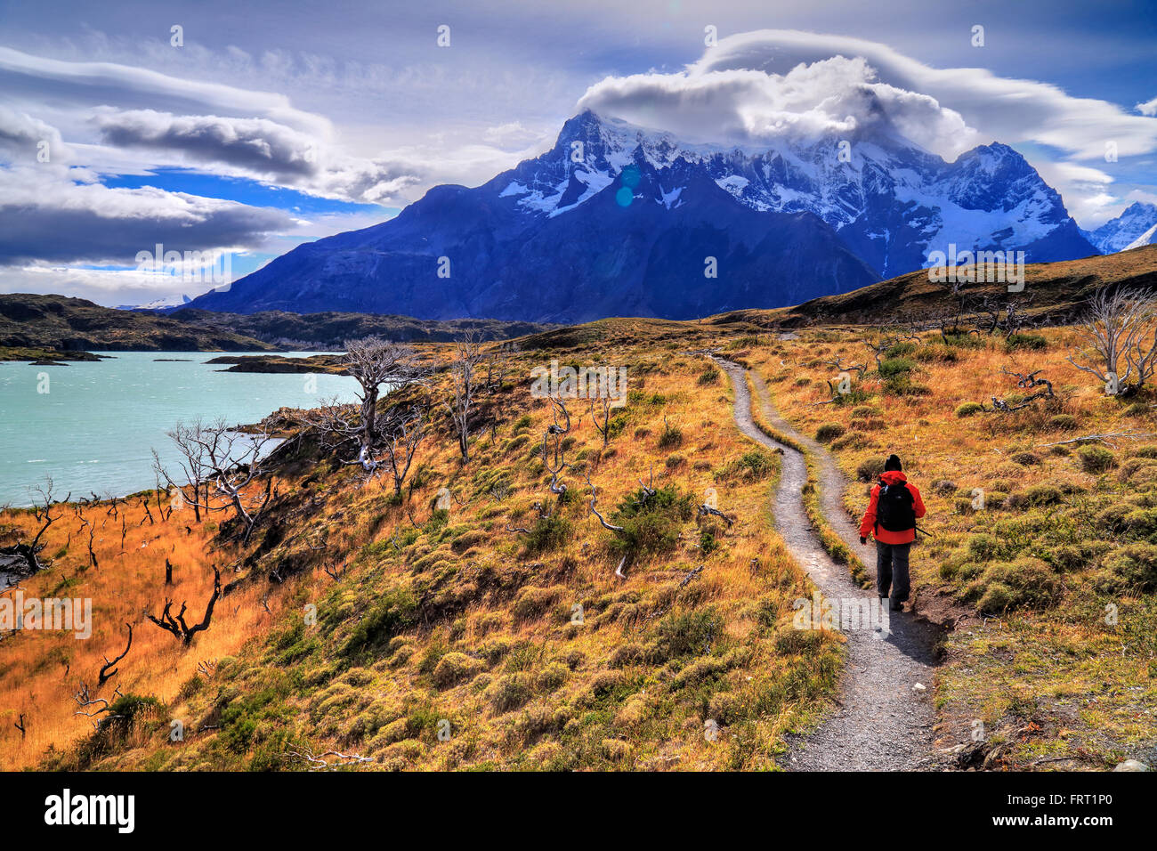 Parc National Torres del Paine, Chili Banque D'Images
