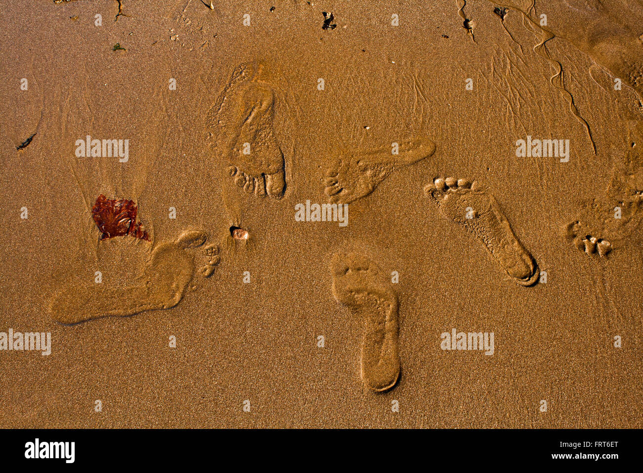 Des empreintes de pas dans le sable. Souvenirs de vacances en famille. Banque D'Images