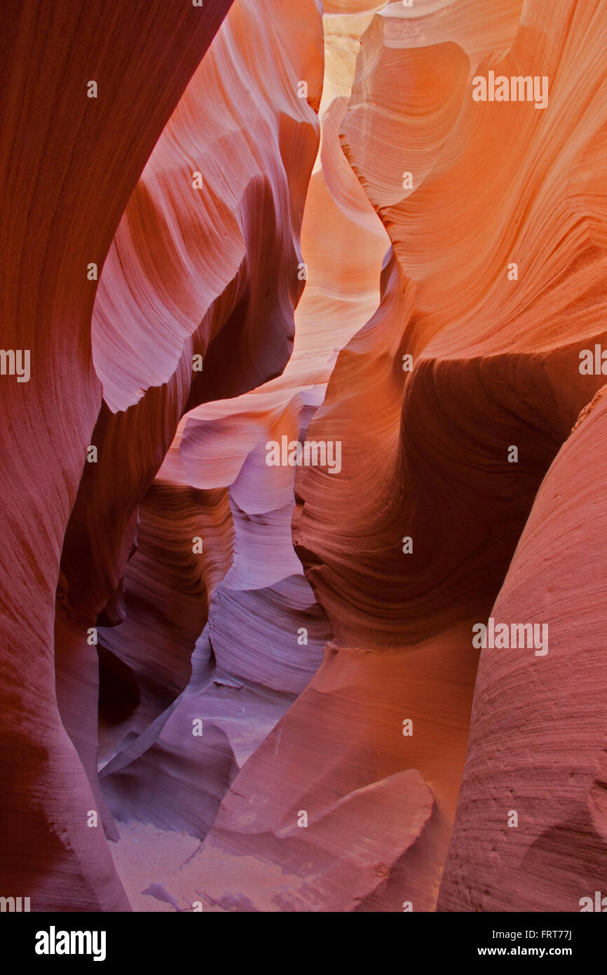 Antelope Canyon, slot canyon Red Rock ou formations. La lumière du soleil dans les filtres à différents angles haut créer des couleurs différentes. Banque D'Images