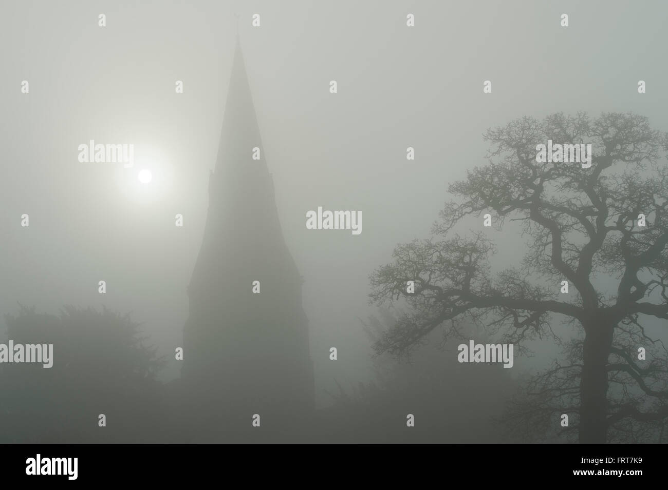 Église de brouillard, le soleil et les branches d'arbre de chêne sur un matin au lever du soleil l'hiver. UK Banque D'Images