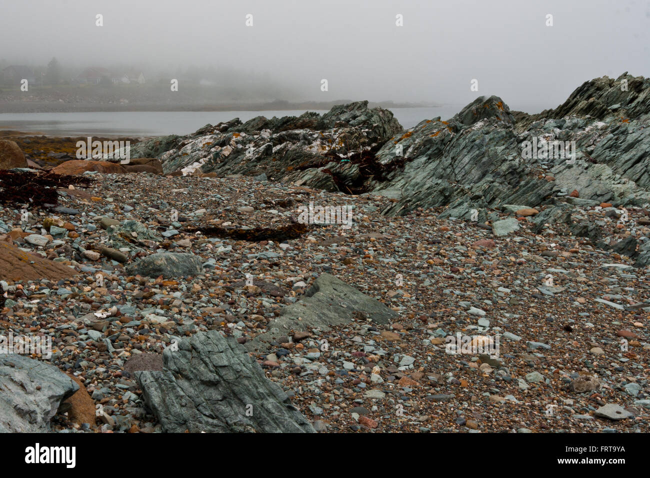 Plage de la baie de Fundy plein de cailloux de couleur. Banque D'Images