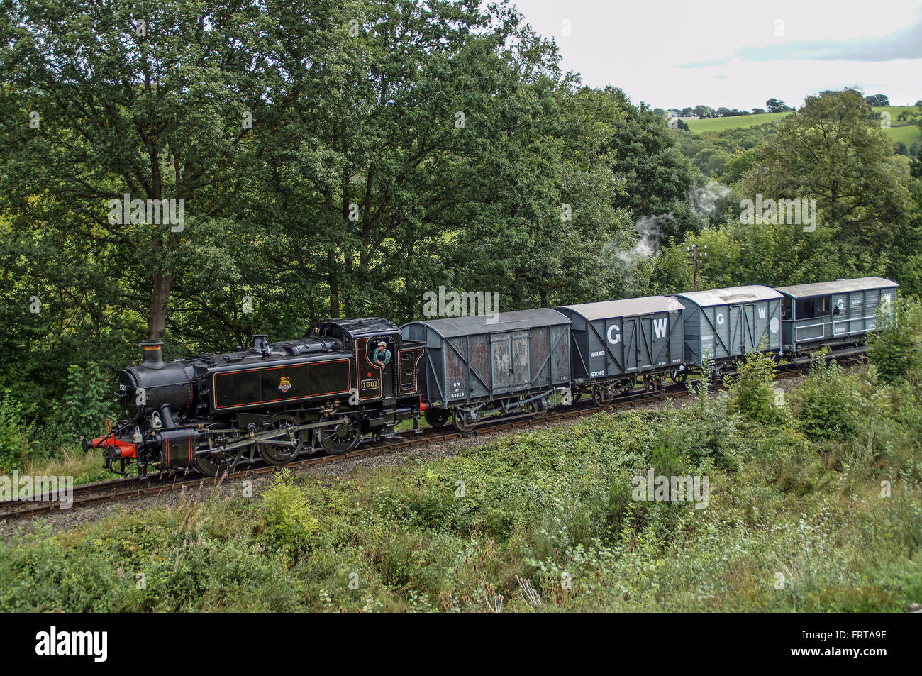 Hawksworth's 15xx pannier tank 1501 sur l'huile de l'approche SVR Banque D'Images