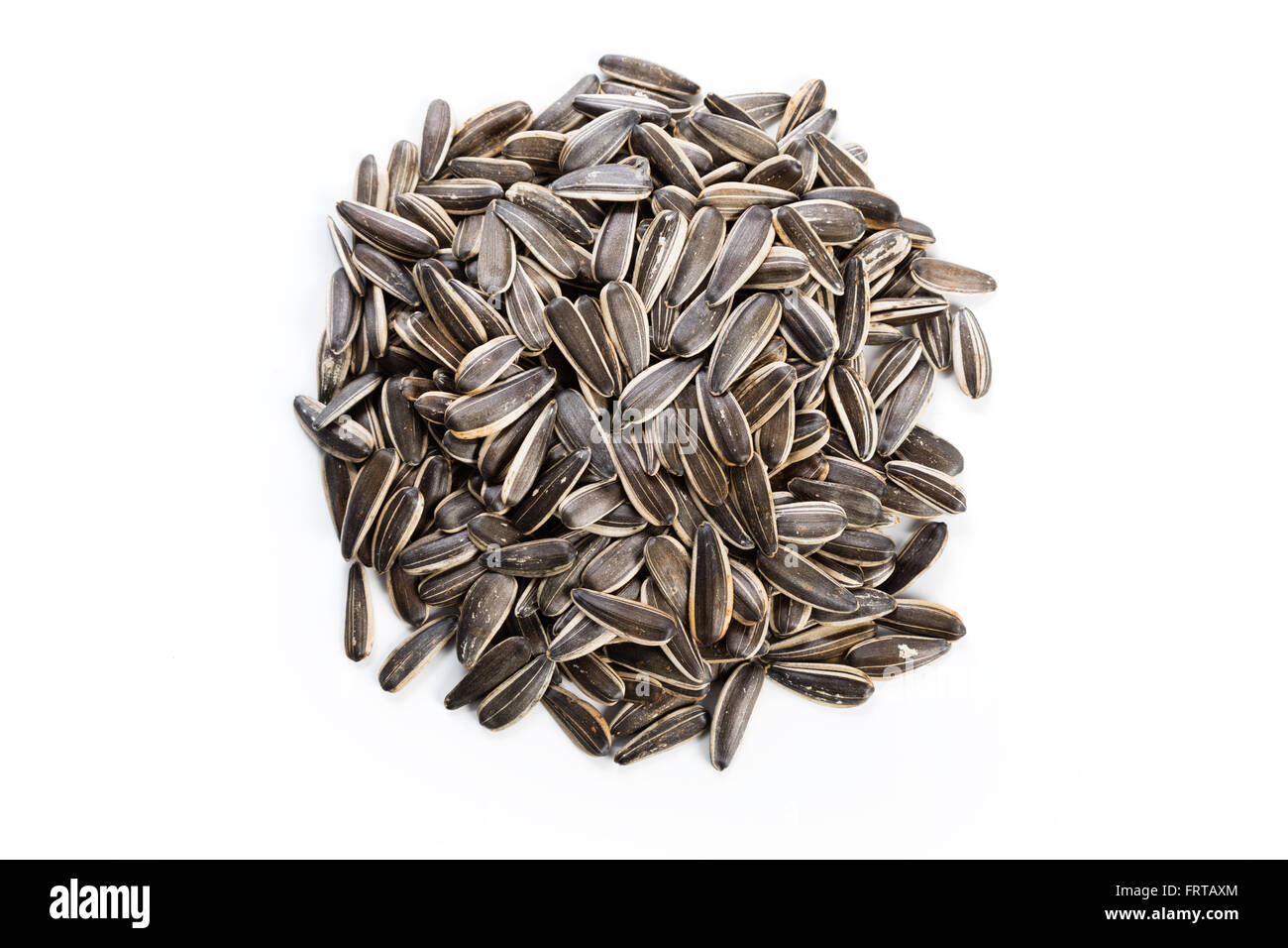Les graines de tournesol, de l'ingrédient alimentaire avec un fond blanc. Banque D'Images