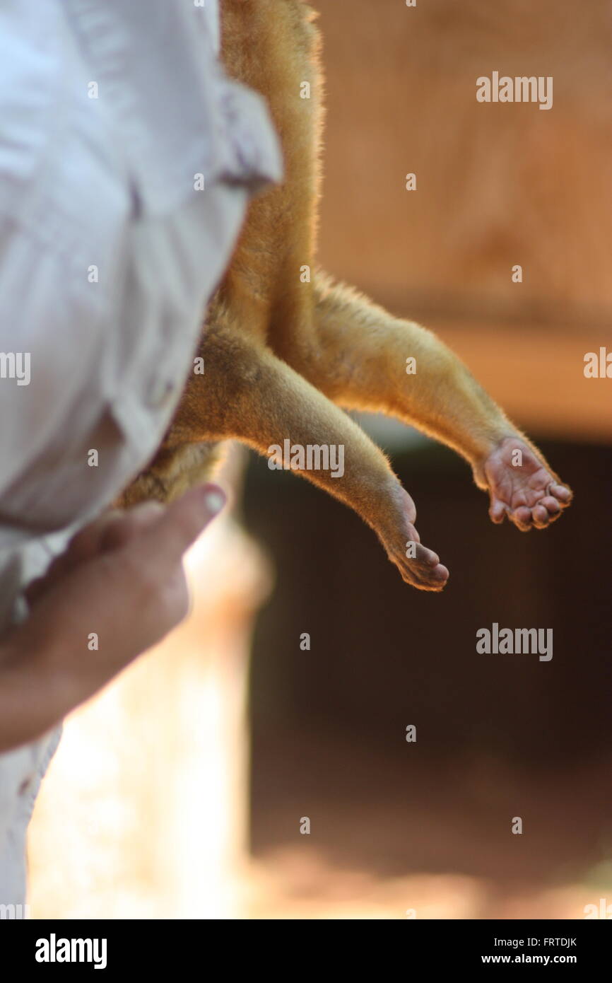 Hanging Around Banque D'Images