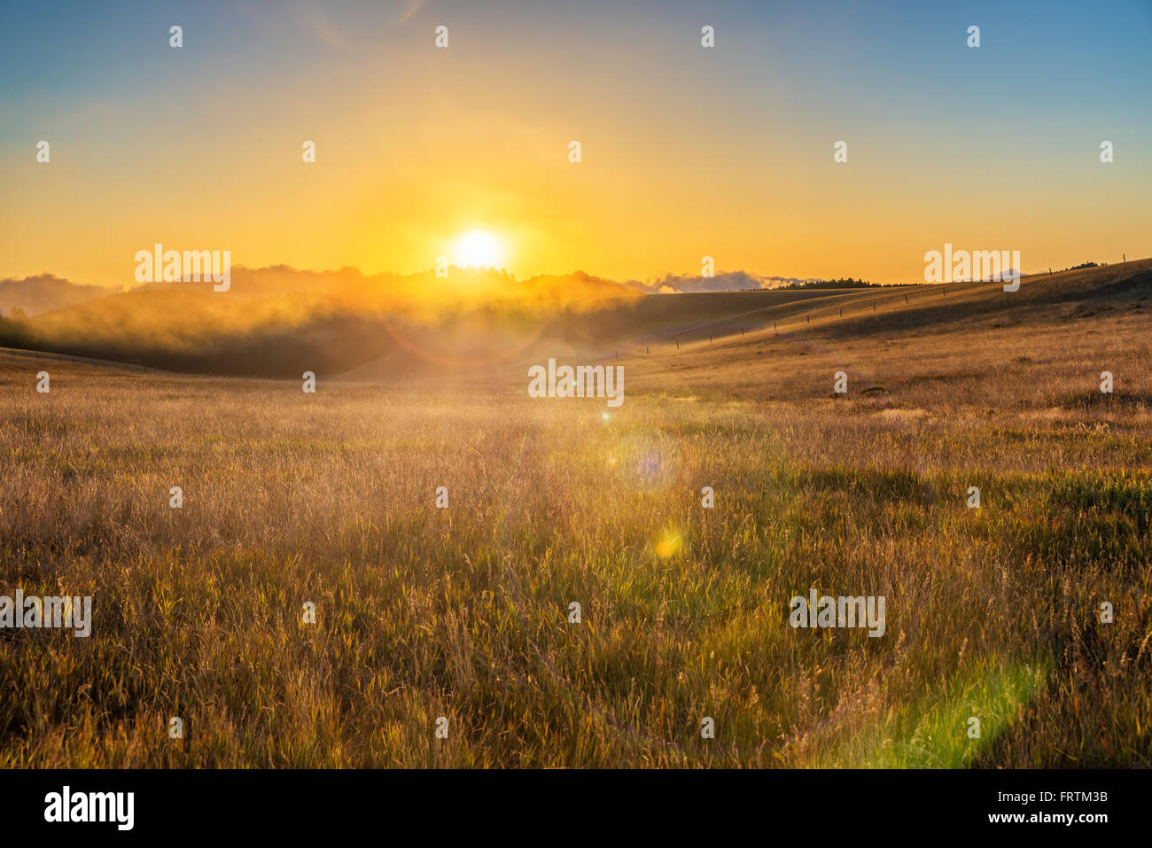 Lever du soleil et reflets sur un champ dans la chaîne de montagnes Bighorn près de Buffalo, Wyoming Banque D'Images