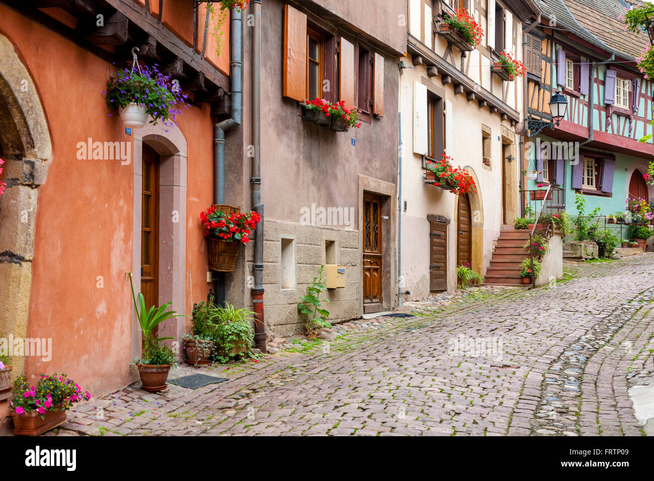 Maisons à colombages, le long de la route des vins, Eguisheim, Alsace, Haut Rhin, France Banque D'Images