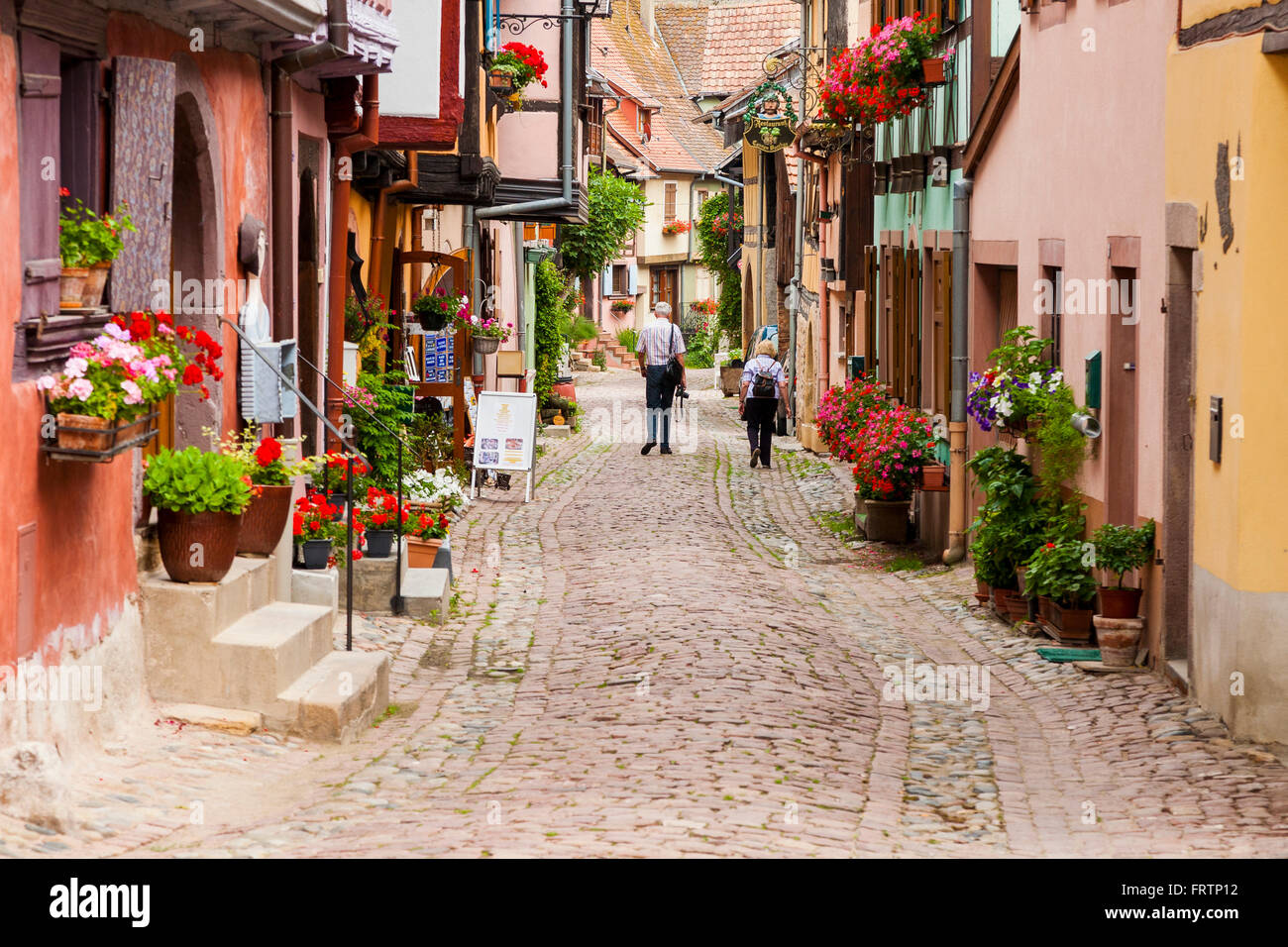 Maisons à colombages, le long de la route des vins, Eguisheim, Alsace, Haut Rhin, France Banque D'Images