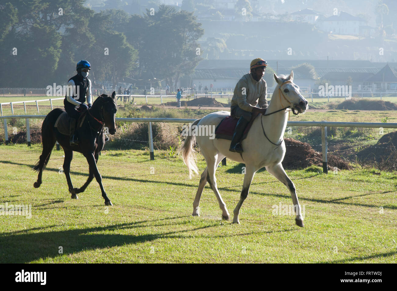 Cheval de formation sur la voie de l'ère coloniale à Nuwara Eliya, Sri Lanka Banque D'Images