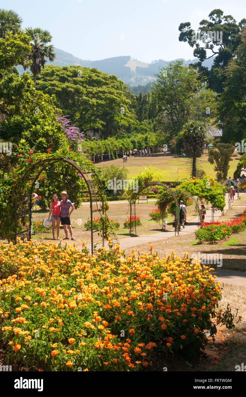 Les Jardins Botaniques de Peradeniya, Sri Lanka Banque D'Images