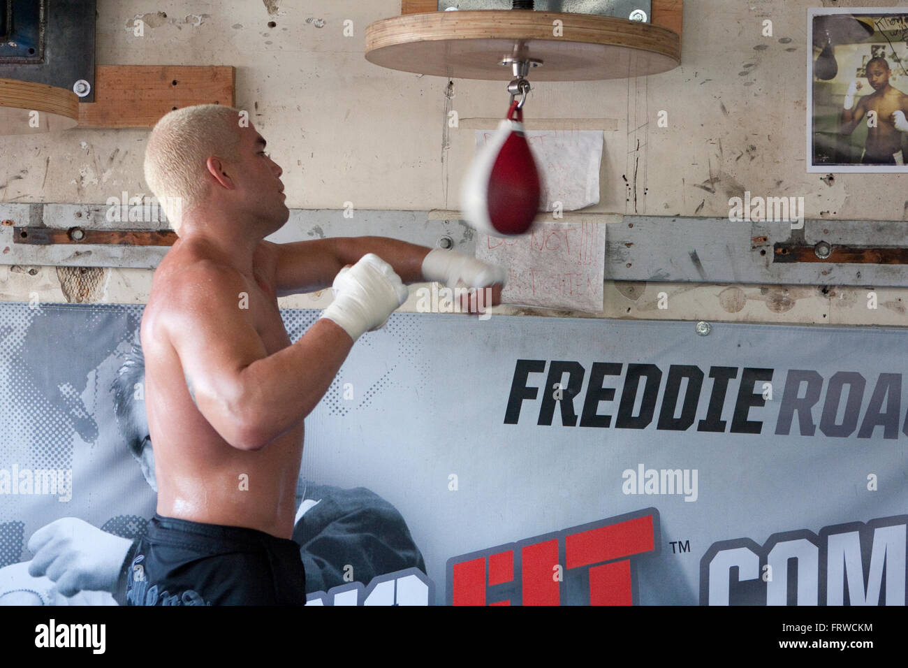 Tito Ortiz martelant la vitesse Banque D'Images