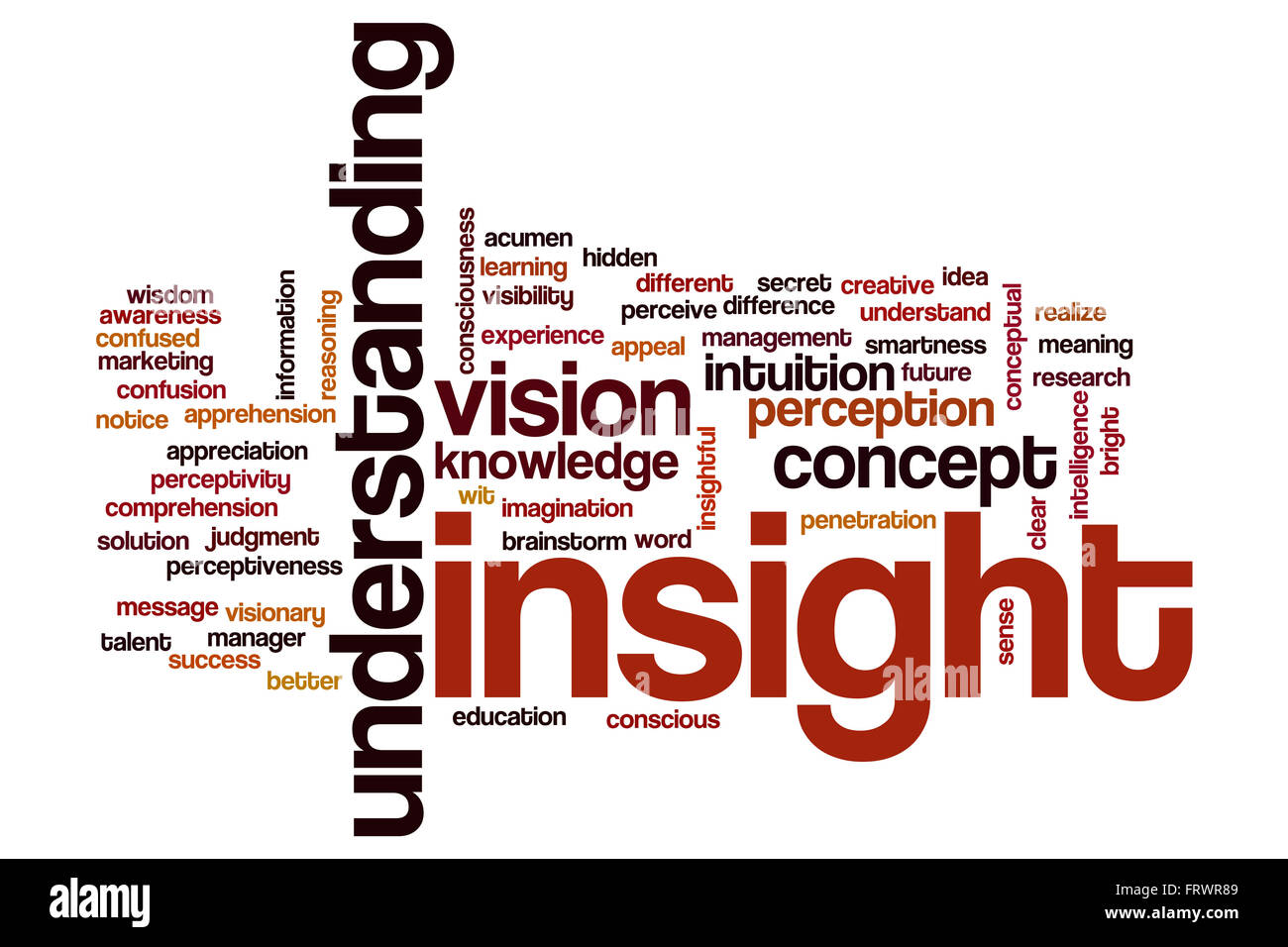 Insight Nuage de mots Banque D'Images