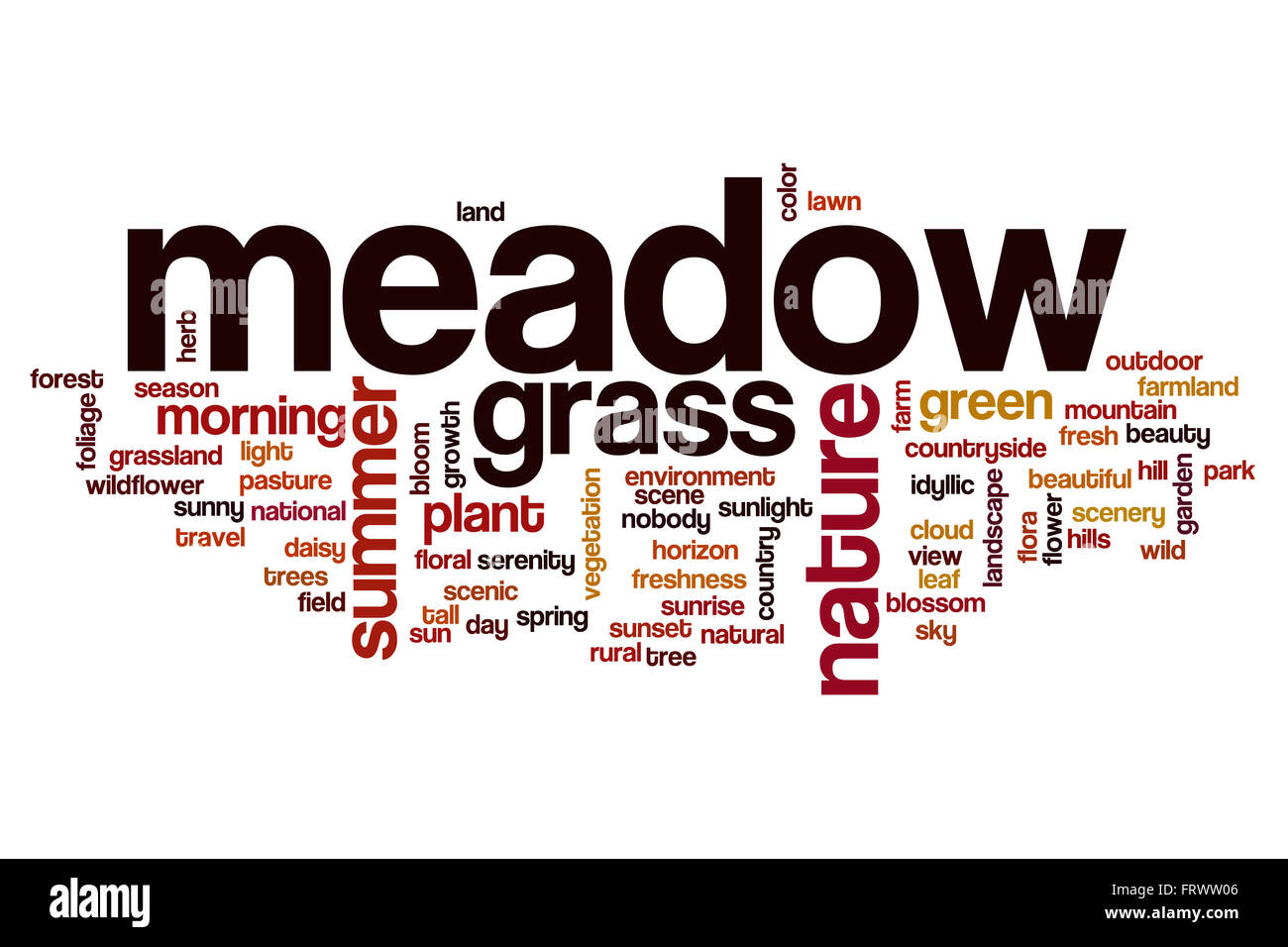 Meadow Nuage de mots Banque D'Images
