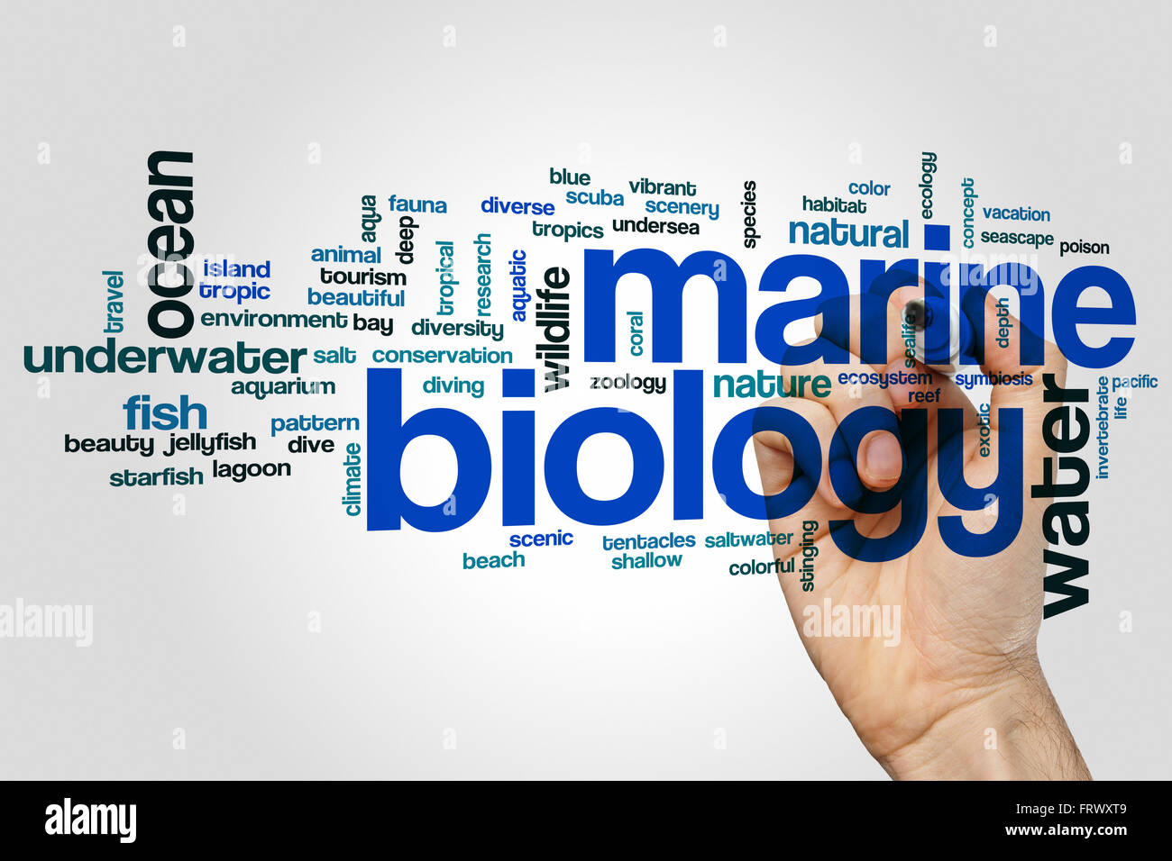 La biologie marine mot concept cloud Banque D'Images