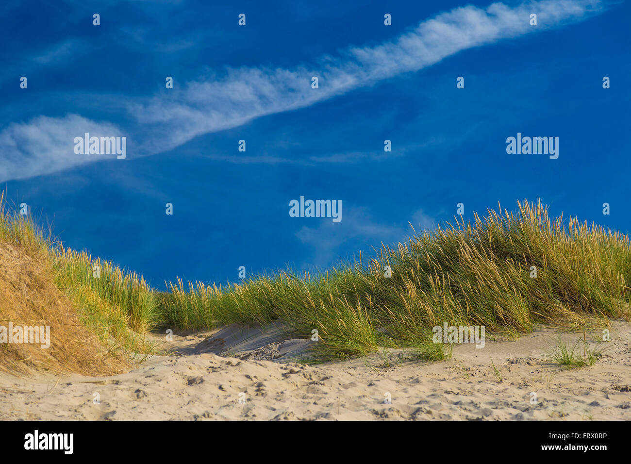 Dunes à De Haan, côte de la mer du nord Belge contre cirrus et stratus et Reed Grass Banque D'Images