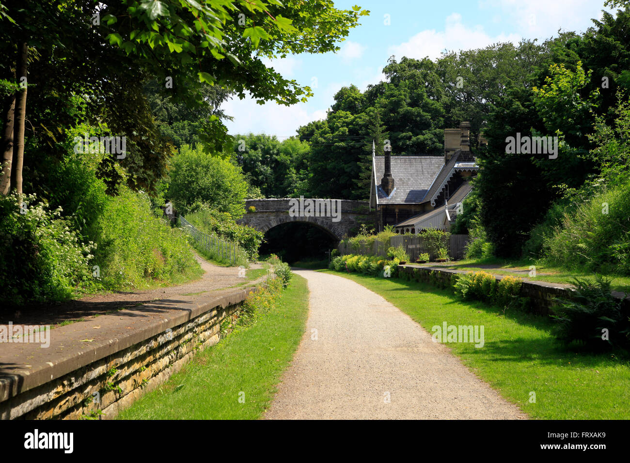 Dale Monsal dans le Derbyshire, Angleterre Banque D'Images