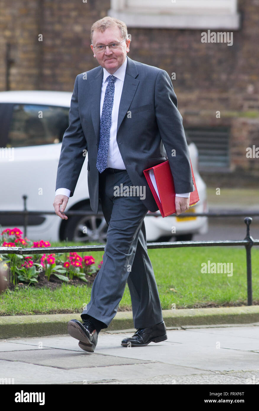 David Mundell,secrétaire d'état pour l'Écosse,arrive à Downing Street pour une réunion du cabinet Banque D'Images