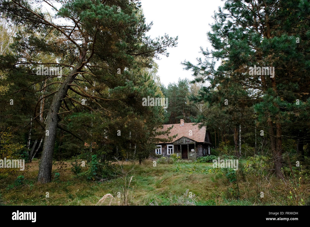 Maison dans les bois, parc national de Biebrza, Podlaskie Voivodeship, Pologne Banque D'Images