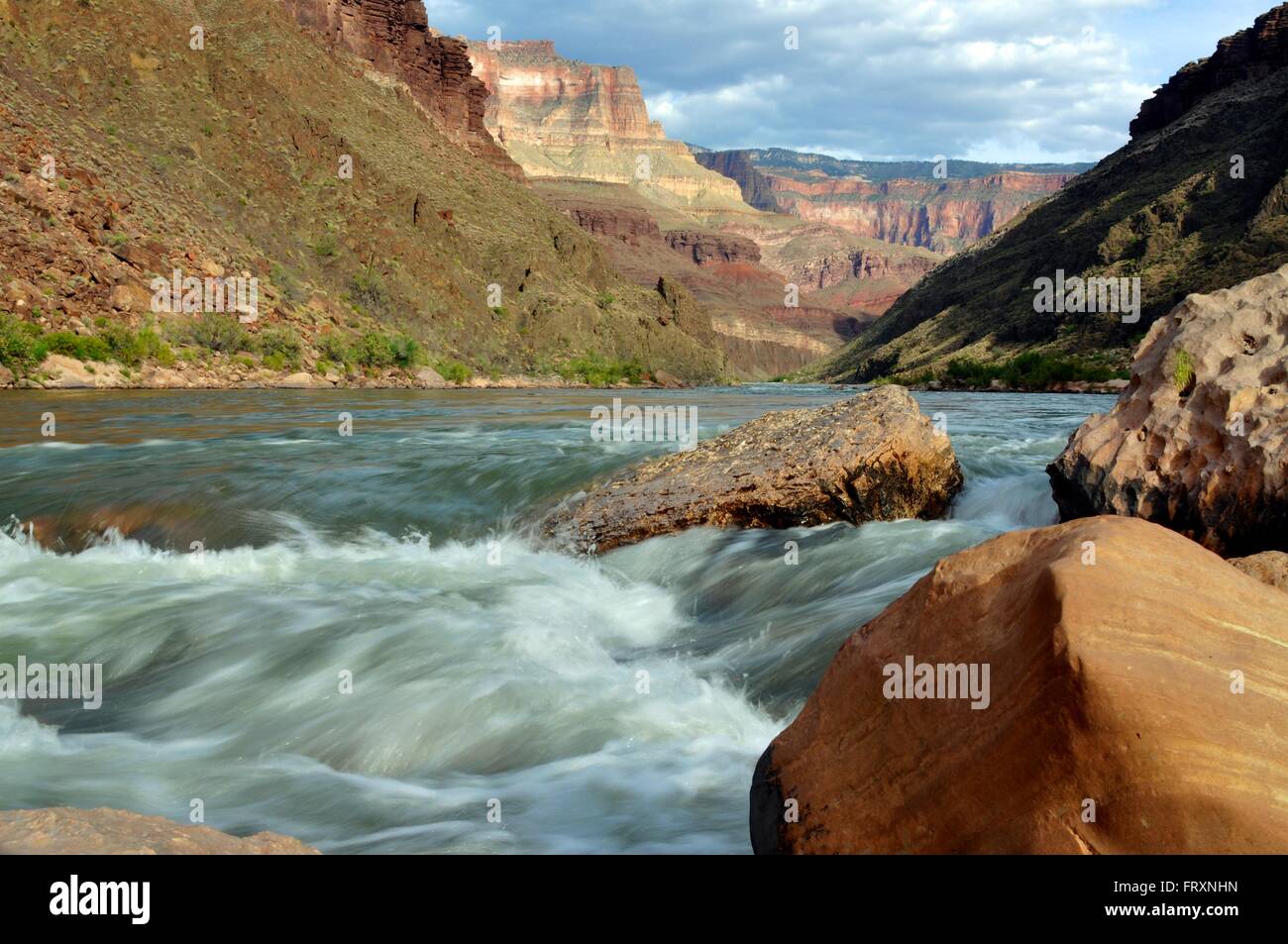 Colorado River, le Parc National du Grand Canyon, Arizona Banque D'Images