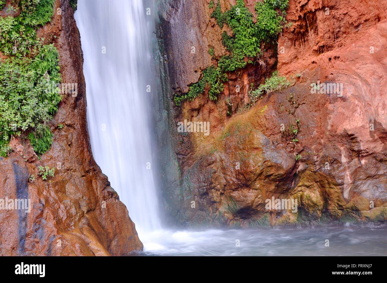 Deer Creek Falls, parc national de Grand Canyon, Arizona Banque D'Images