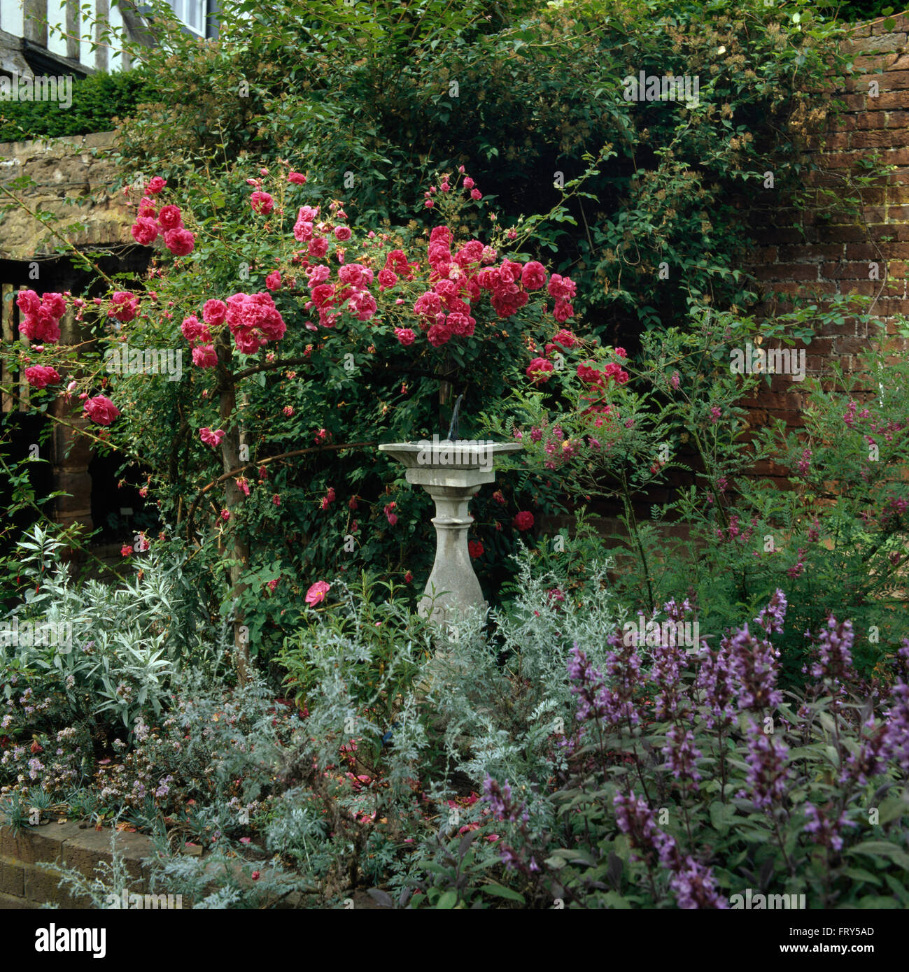 Cadran solaire en pierre dans la région de frontière avec la salvia bleu et rose rosiers grimpants dans un pays jardin en été Banque D'Images