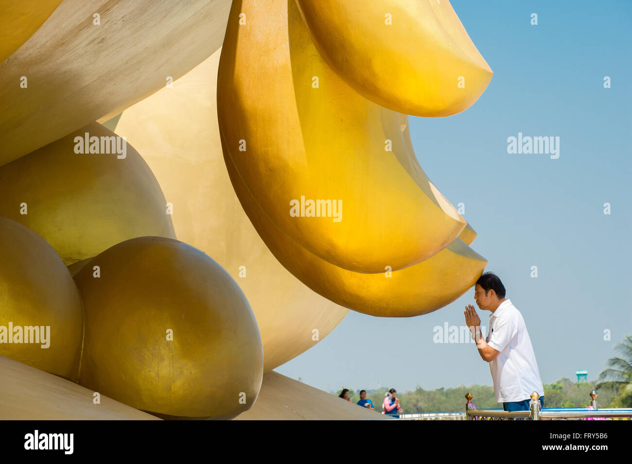 Thai man prie au grand Bouddha de Thaïlande à Wat Muang Temple dans la province d'Ang Thong Banque D'Images