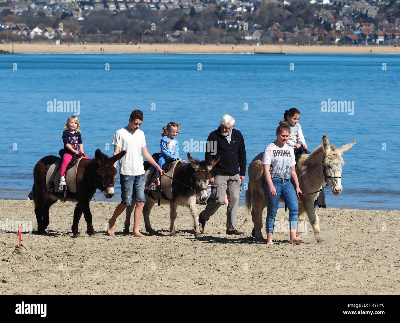 Promenade avec un âne sur la plage de Weymouth, Dorset, UK Banque D'Images