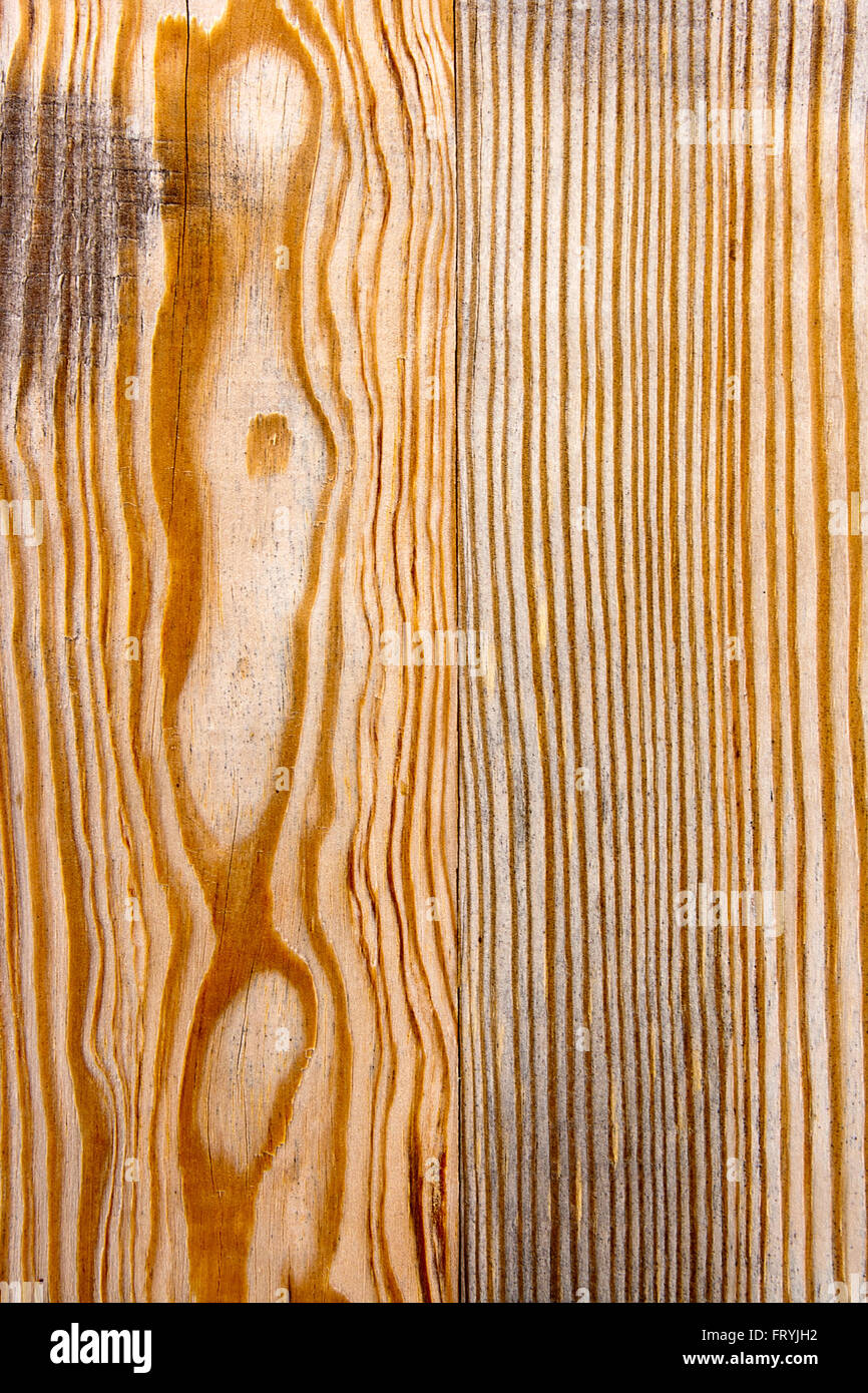 La texture en bois - bois. La section de tronc d'arbre montrant les anneaux de croissance. La texture du bois avec du bois naturel. Banque D'Images