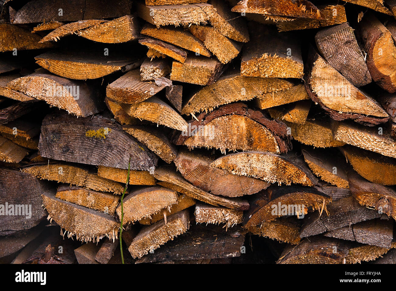 Les grumes sont empilés dans un tas. Section transversale du bois pour l'arrière-plan. Banque D'Images