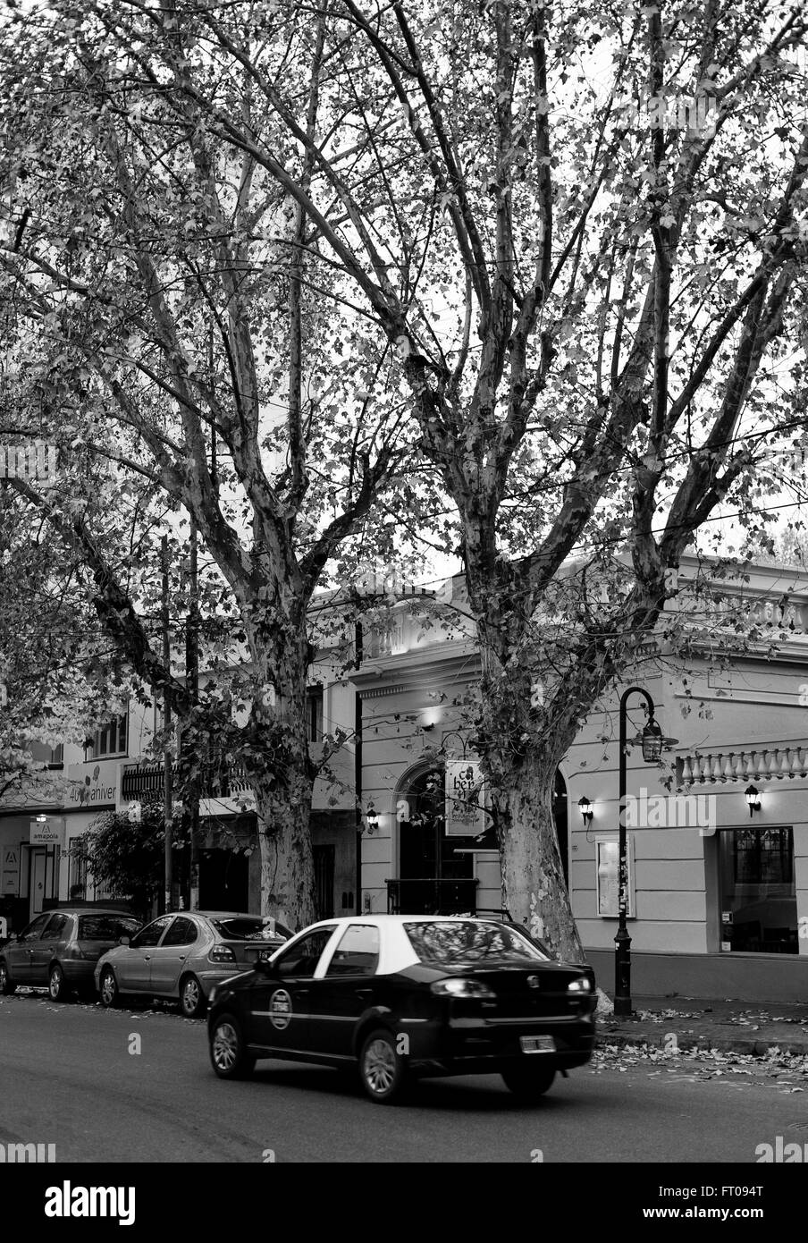 Quartier de Palerme, Buenos Aires Banque D'Images