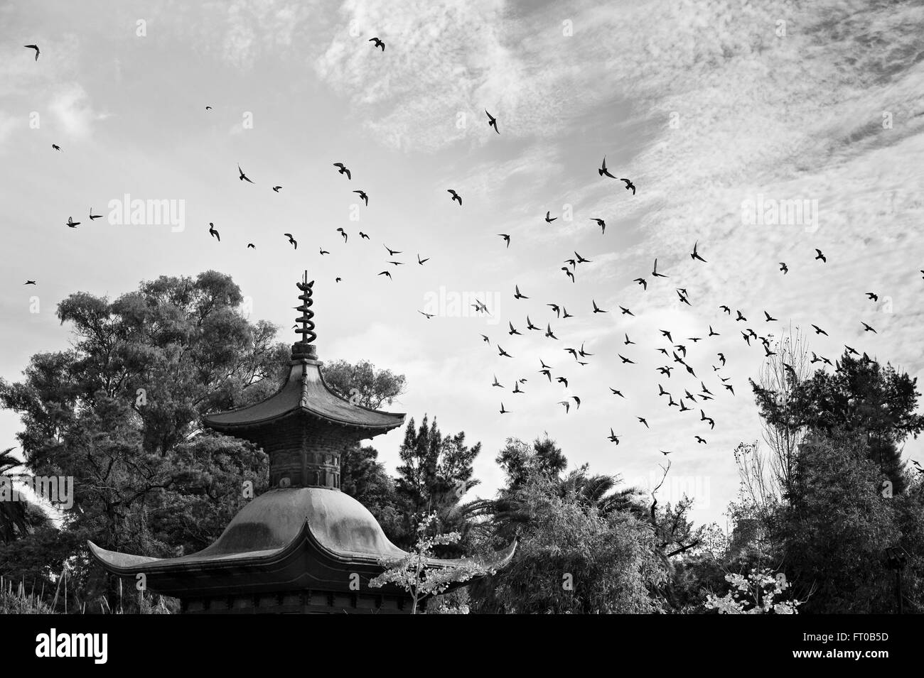 Jardin japonais, Buenos Aires Banque D'Images