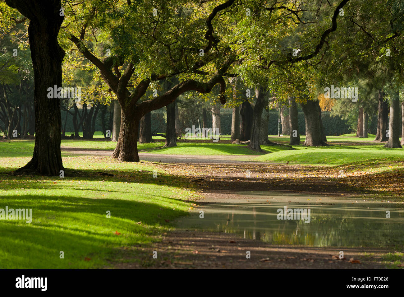 Palerme Woods, Buenos Aires Banque D'Images