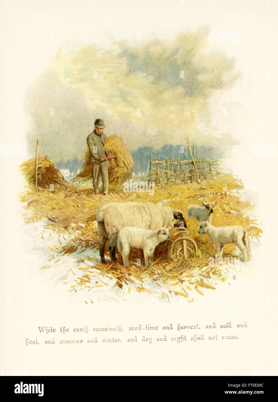 La légende de cette illustration se lit comme suit : Tant que la terre subsistera, les semences et la moisson, le froid et la chaleur, l'été et l'hiver, le jour et la nuit ne cesseront point. La scène représente un agriculteur avec ses bottes de foin et des moutons nourris du foin. Il a accompagné les poèmes de Phillips Brooks. Brooks était ministre épiscopalien à Boston à la fin des années 1800. Banque D'Images