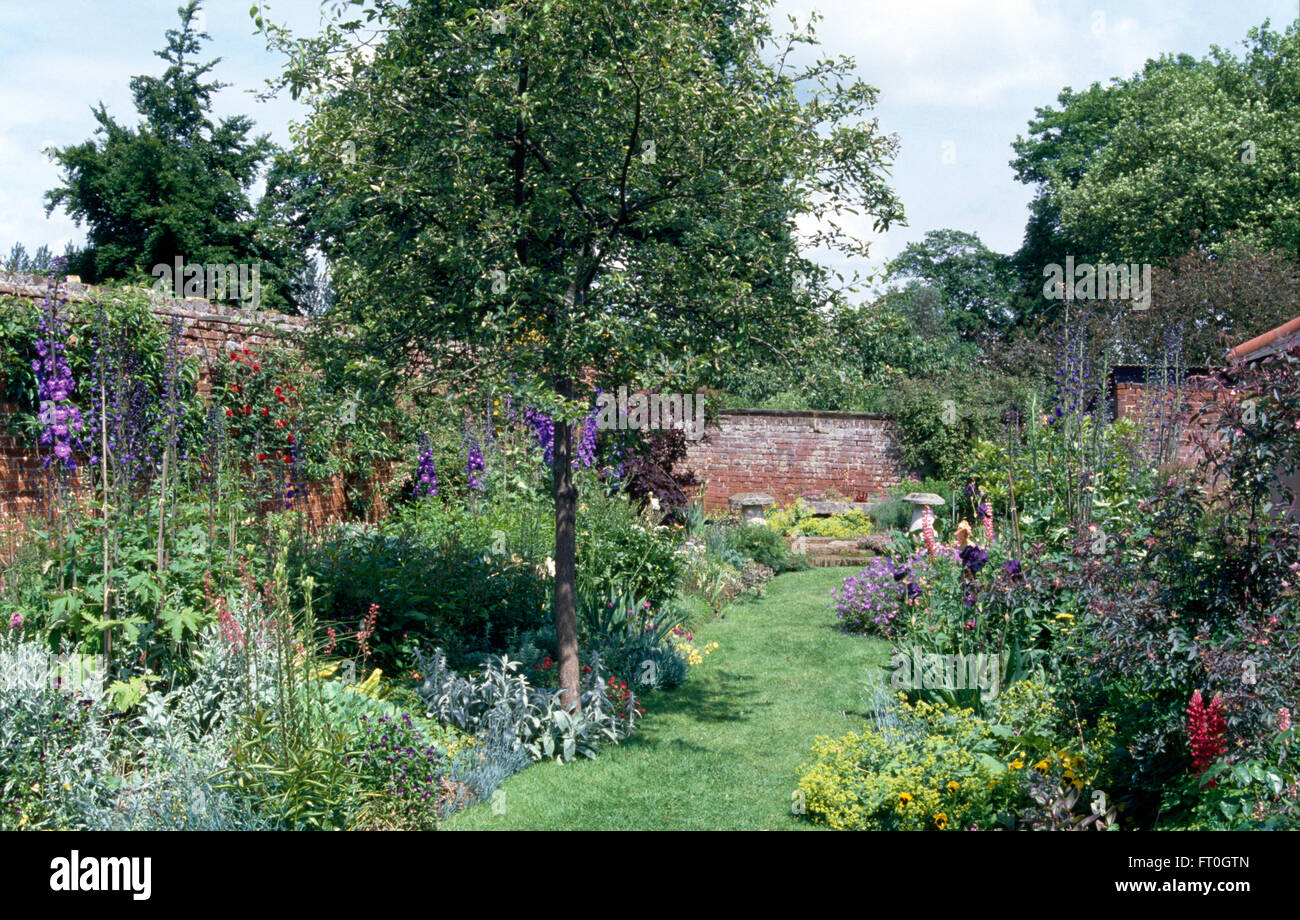 Delphiniums bleus et une variété de plantes vivaces dans les bordures de chaque côté d'un chemin d'herbe dans un jardin de campagne fortifiée Banque D'Images