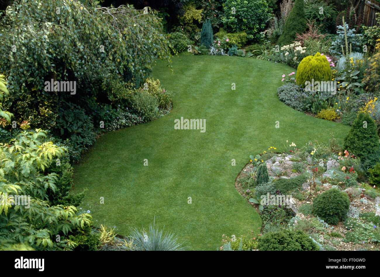 Vue d'une courbe récemment fauché pelouse bordée de frontières avec une rocaille et faible et arbustes conifères croissant Banque D'Images