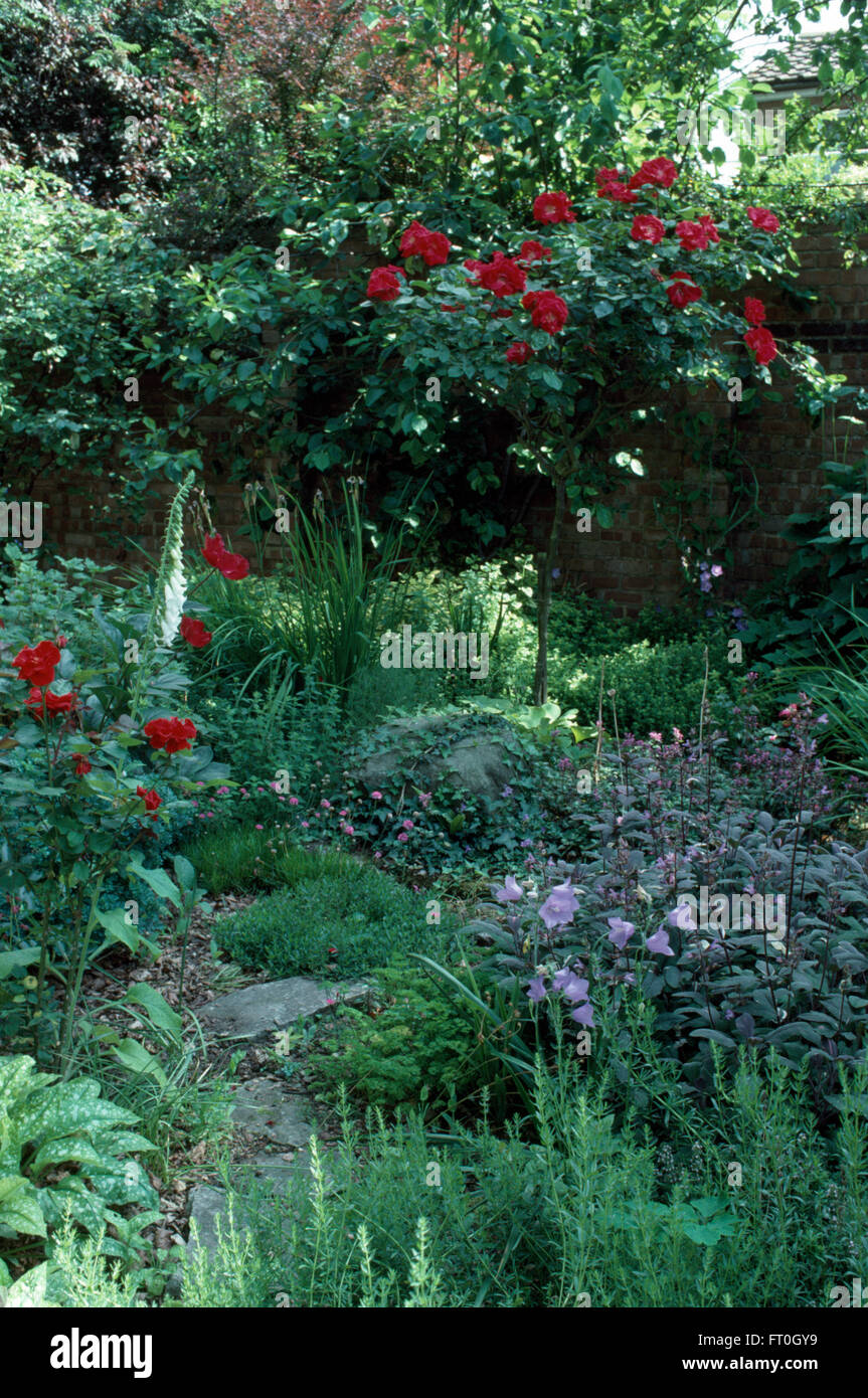 Bleu pâle et une norme Campanula rouge rose blanc blanc digitales dans un coin ombragé d'une frontière d'été Banque D'Images