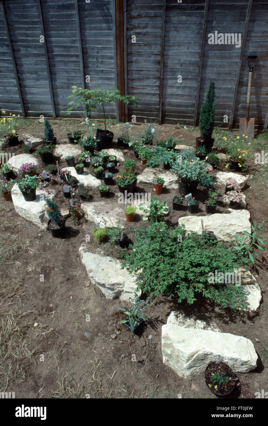 Close-up de plantes en pots prêts à être plantés en nouvelle rocaille Banque D'Images