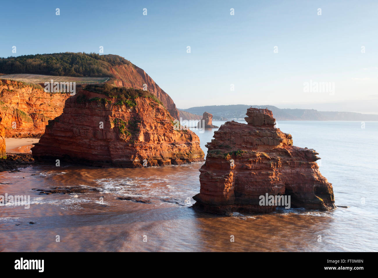 Ladram Bay. La Côte Jurassique, site du patrimoine mondial. Devon. UK. Banque D'Images