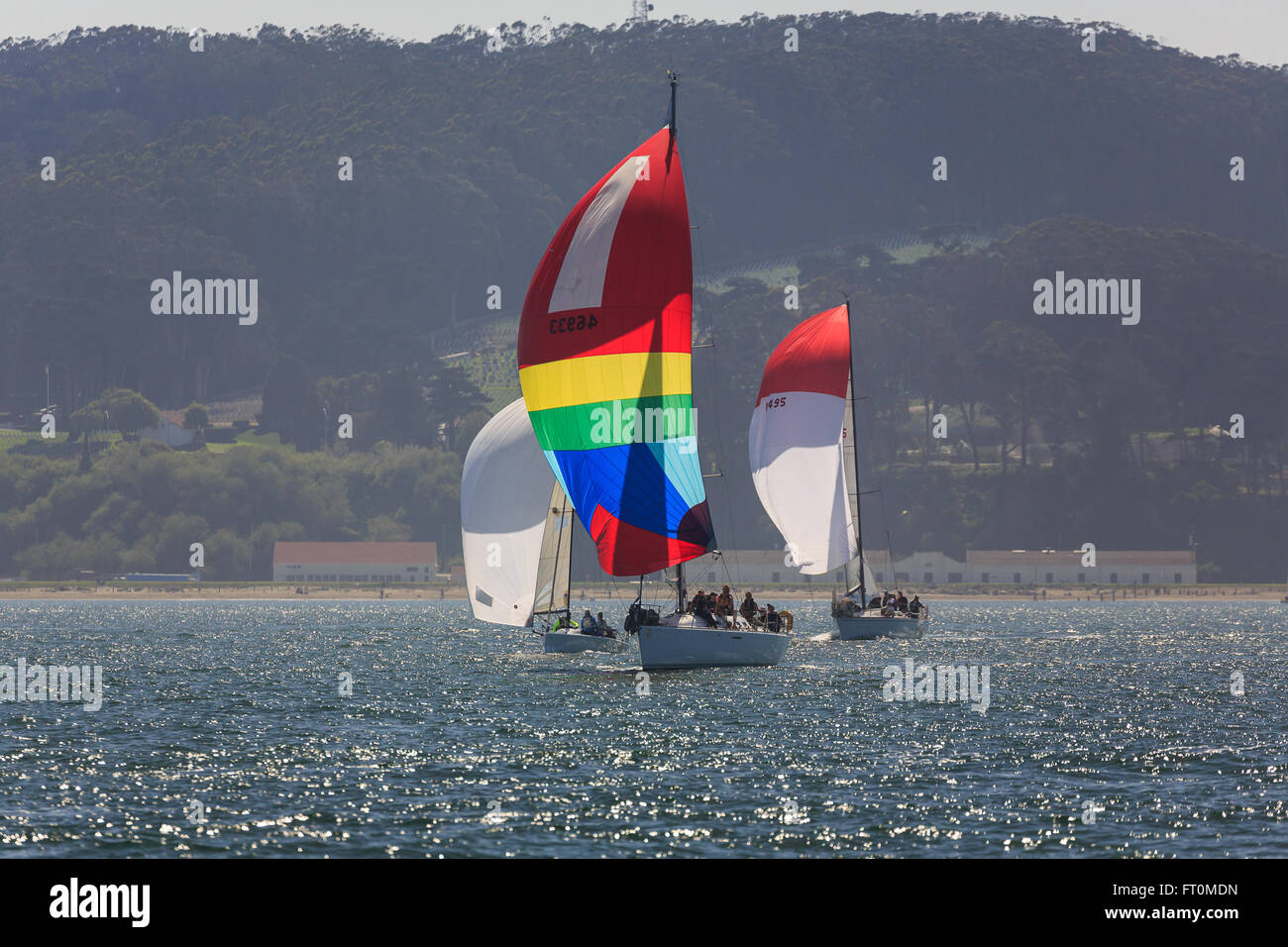 Groupe de trois voiliers avec des spinnakers racing dans la baie de San Francisco Banque D'Images