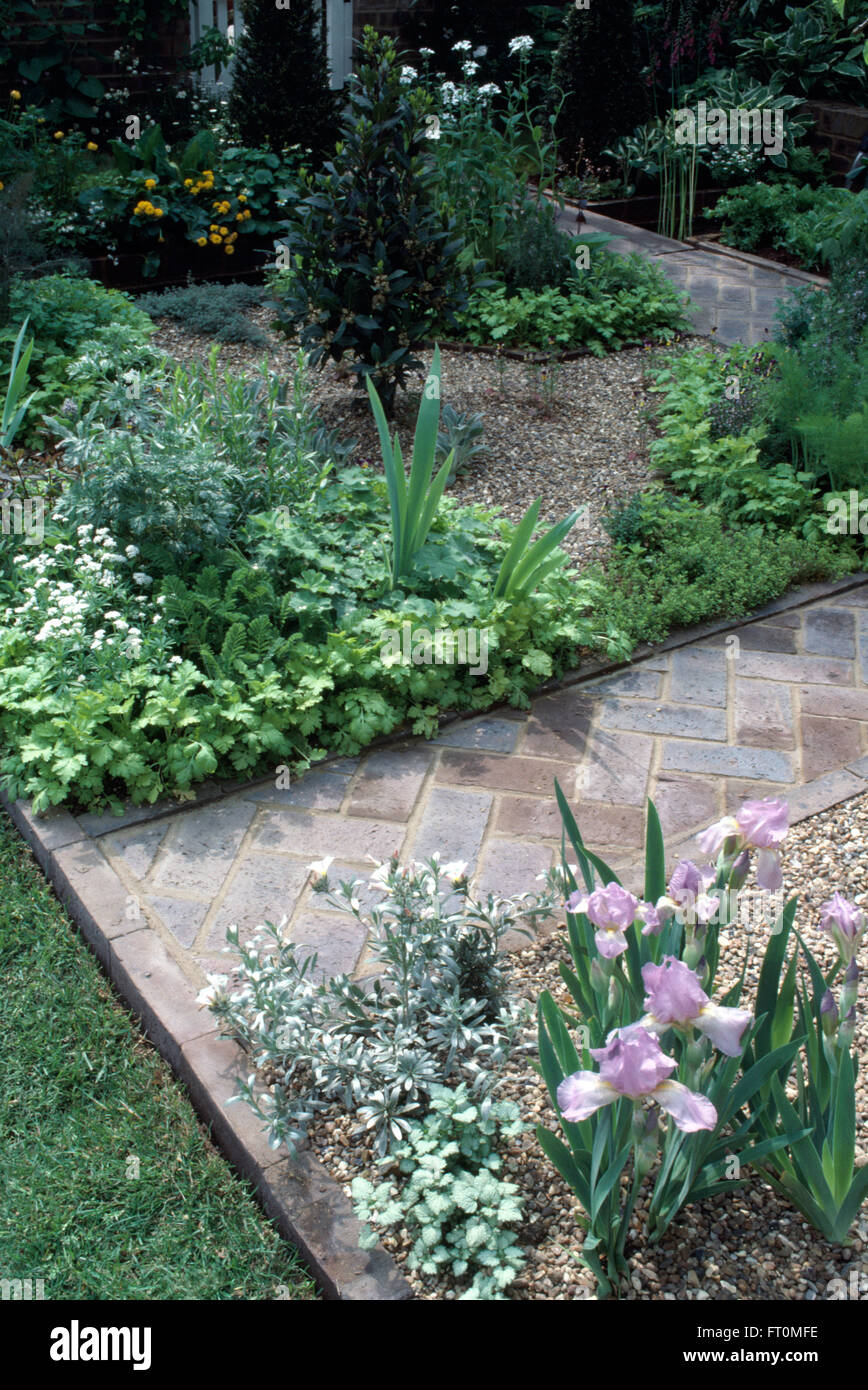 Iris mauve à côté d'une frontière en brique herringbone chemin dans un petit jardin potager avec un bay tree et le persil Banque D'Images