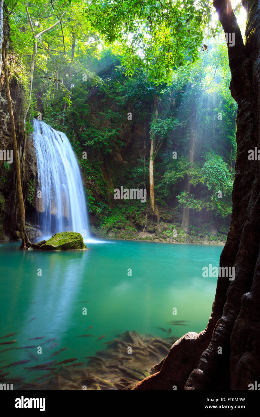 Chute d'eau d'Erawan, Kanchanaburi, Thaïlande Banque D'Images