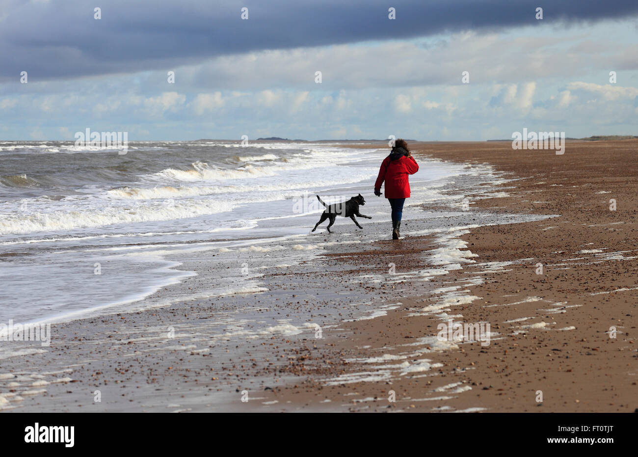 Femme et son chien admirant Thornham Beach sur la côte nord du comté de Norfolk. Banque D'Images
