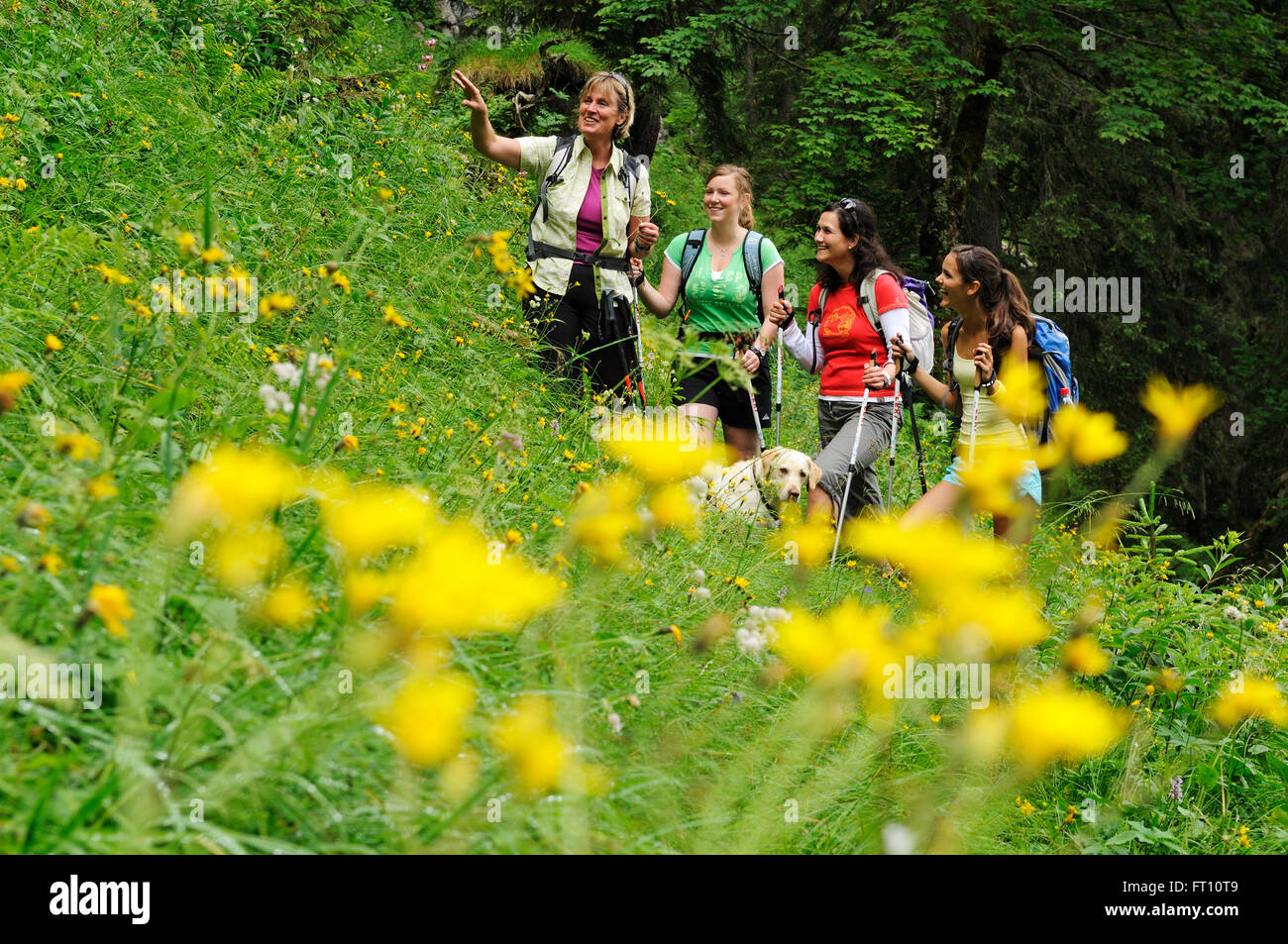 Les femmes randonnée, Reit im Winkl, Chiemgau, Haute-Bavière, Allemagne Banque D'Images