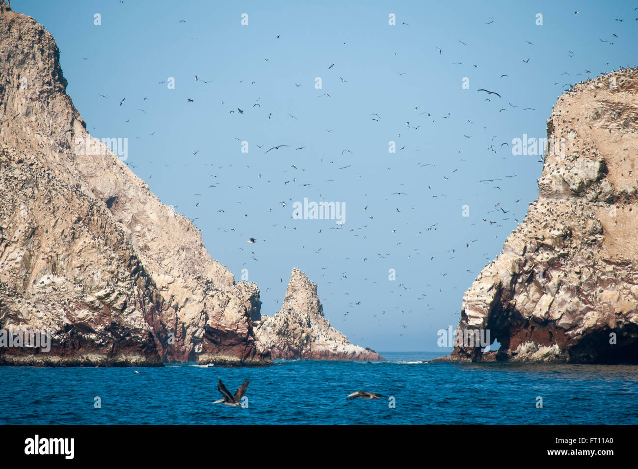 Essaim d'oiseaux au-dessus de l'océan Pacifique, la réserve nationale de Paracas, Islas Ballestas, Pérou Banque D'Images